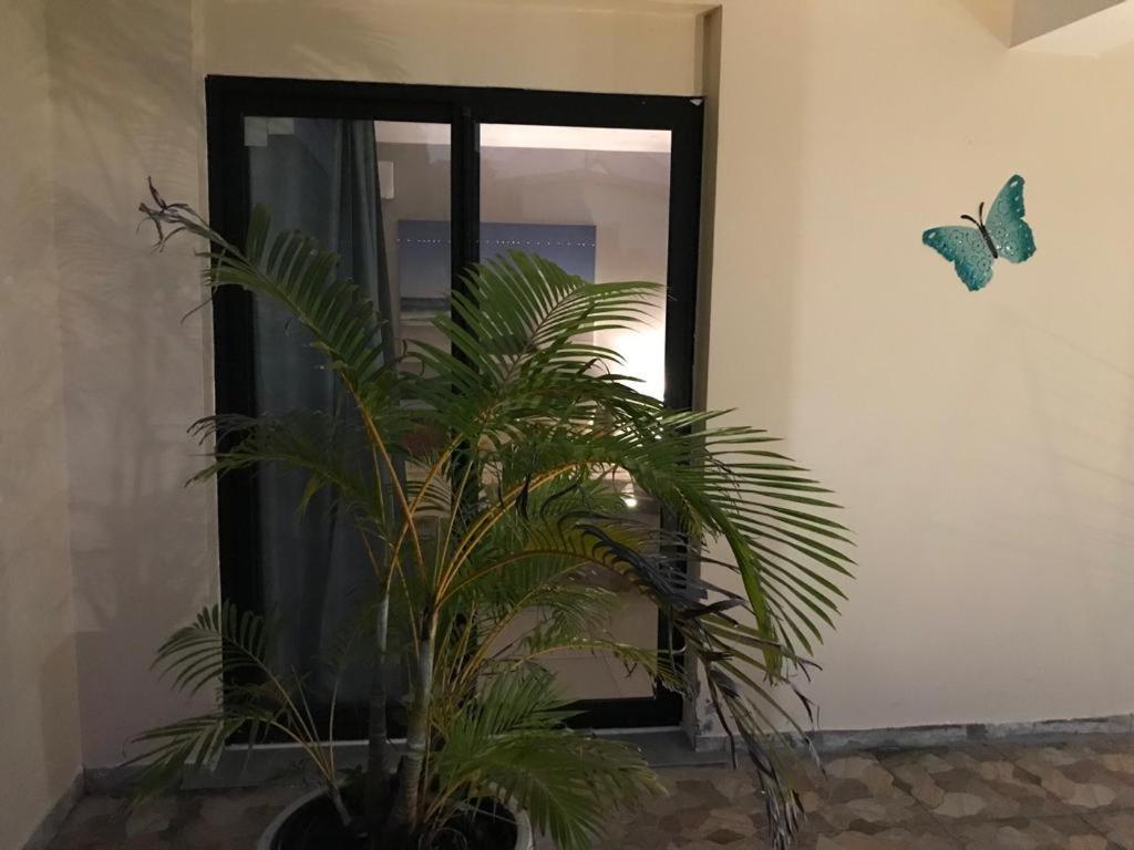 Nicole Residence Avec Piscine Chauffee & Jacuzzi Saint-Andre Ngoại thất bức ảnh
